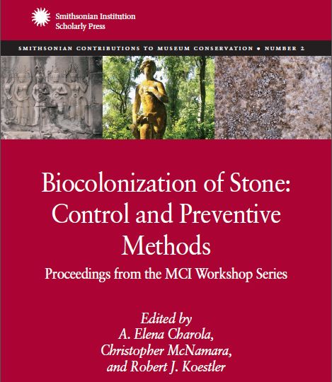 biocolonizationofstone.jpg