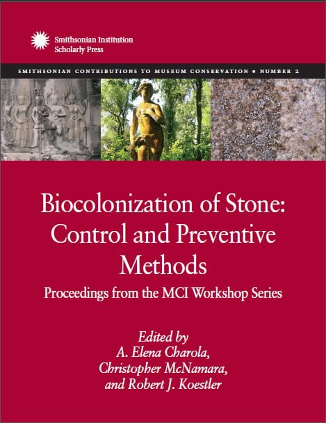 biocolonizationofstone.jpg