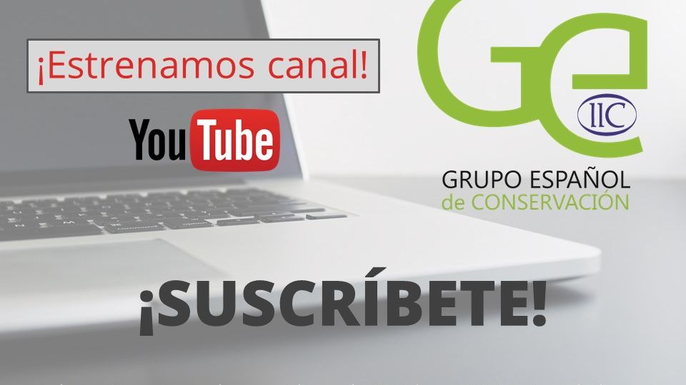 YOUTUBE GEIIC